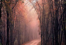 配资网上炒股配:炒股怎么配资-沪指上涨0.38% 光伏设备、船舶制造领涨 贵金属板块持续重挫